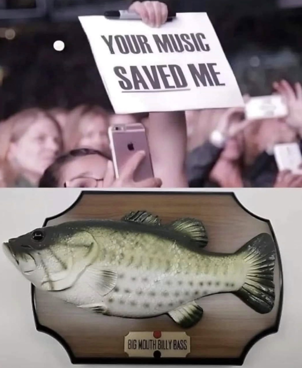 YOUR MUSIC SAVED ME BIG MOUTH BILLY BASS