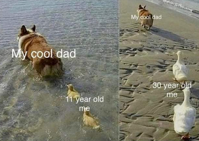 My cool dad My cool dad 11 year old me 30 year old me