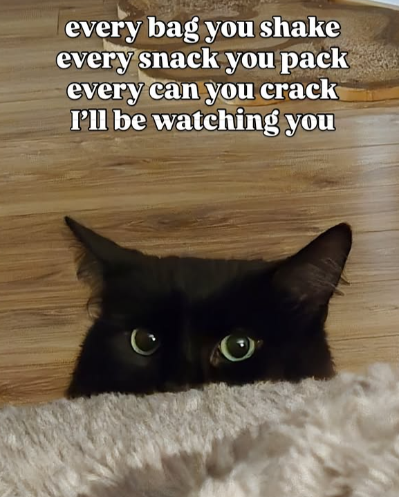 every bag you shake every snack you pack every can you crack I'll be watching you