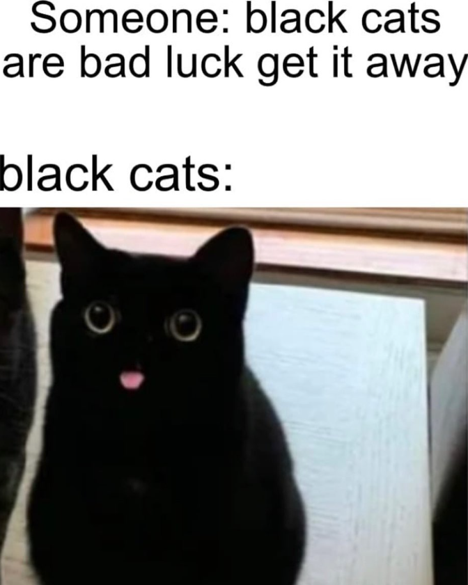 Someone: black cats are bad luck get it away black cats: