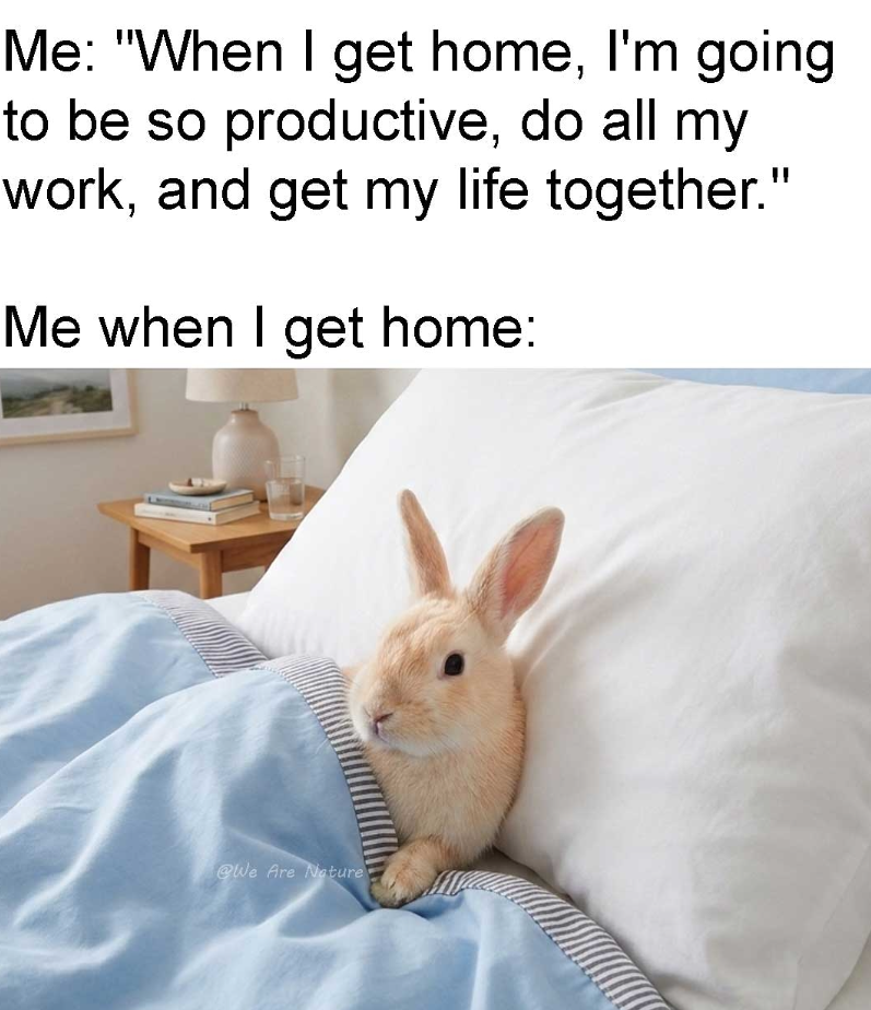 Me: "When I get home, I'm going to be so productive, do all my work, and get my life together." Me when I get home: @We Are Nature