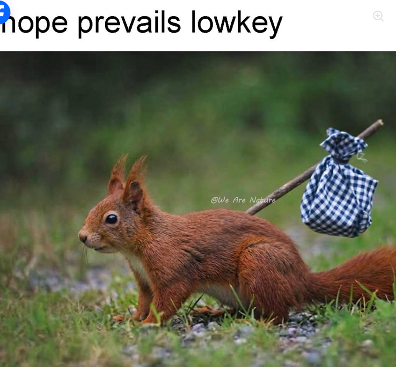 hope prevails lowkey @We Are Nature