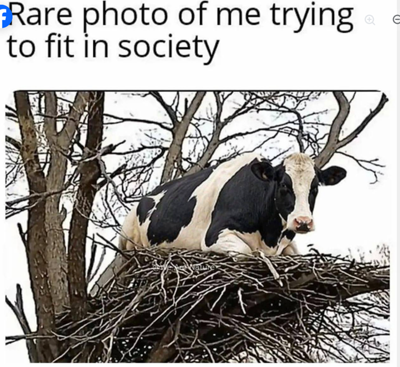 Rare photo of me trying to fit in society We Are Nature