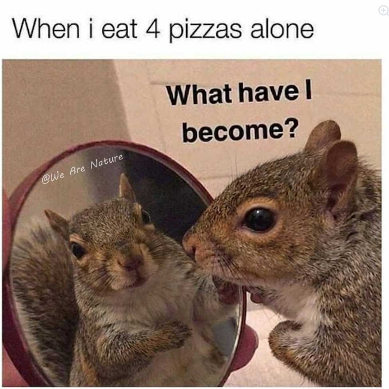 When i eat 4 pizzas alone What have I become? @We Are Nature