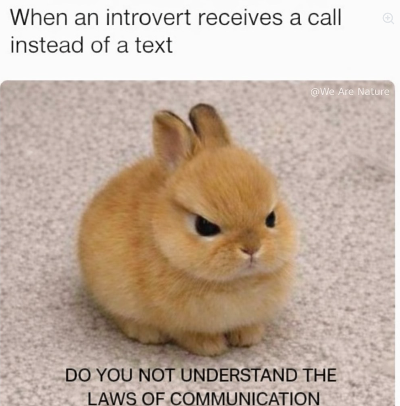 When an introvert receives a call instead of a text @We Are Nature DO YOU NOT UNDERSTAND THE LAWS OF COMMUNICATION