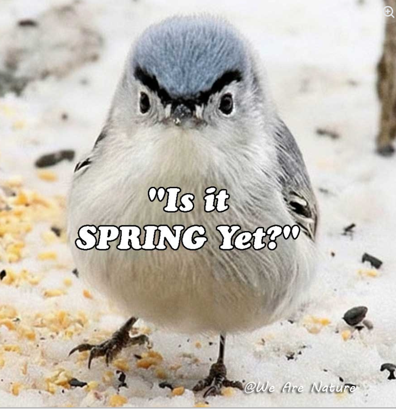 Is it SPRING Yet? @We Are Nature