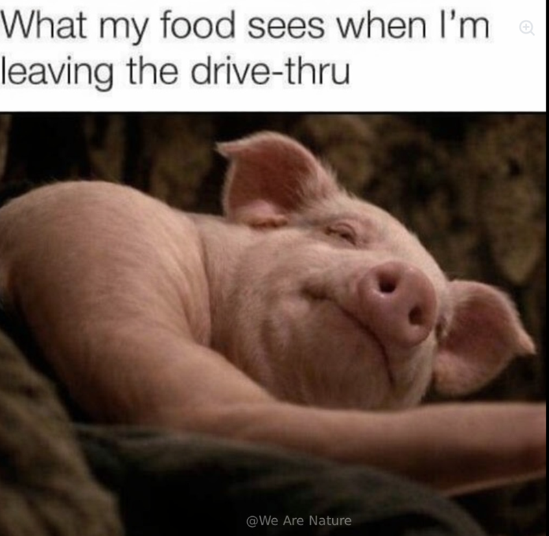What my food sees when I'm leaving the drive-thru @We Are Nature