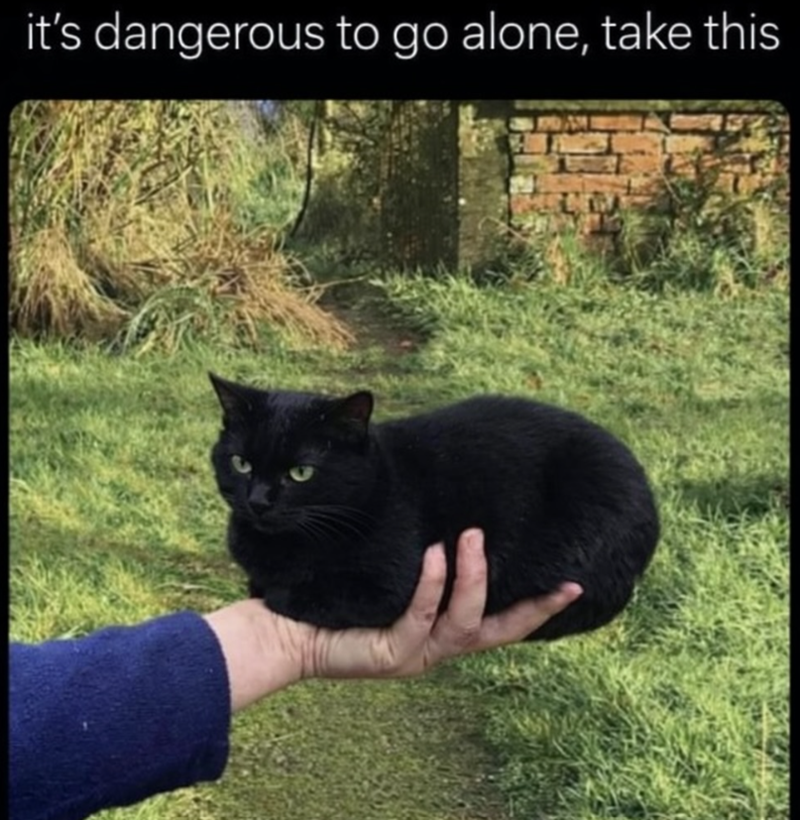 it's dangerous to go alone, take this