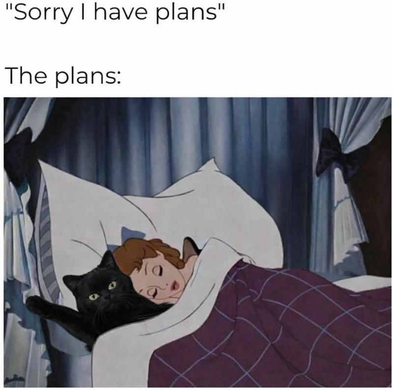 "Sorry I have plans" The plans: