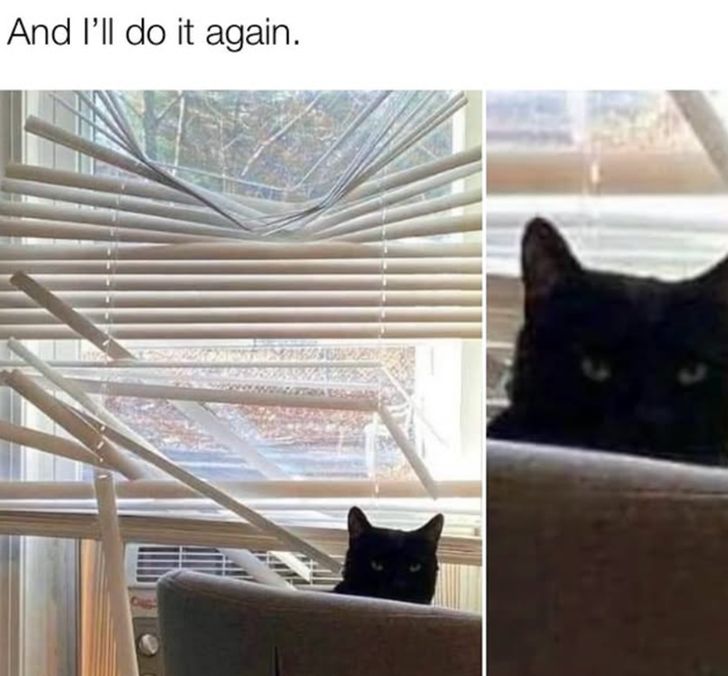 And I'll do it again.