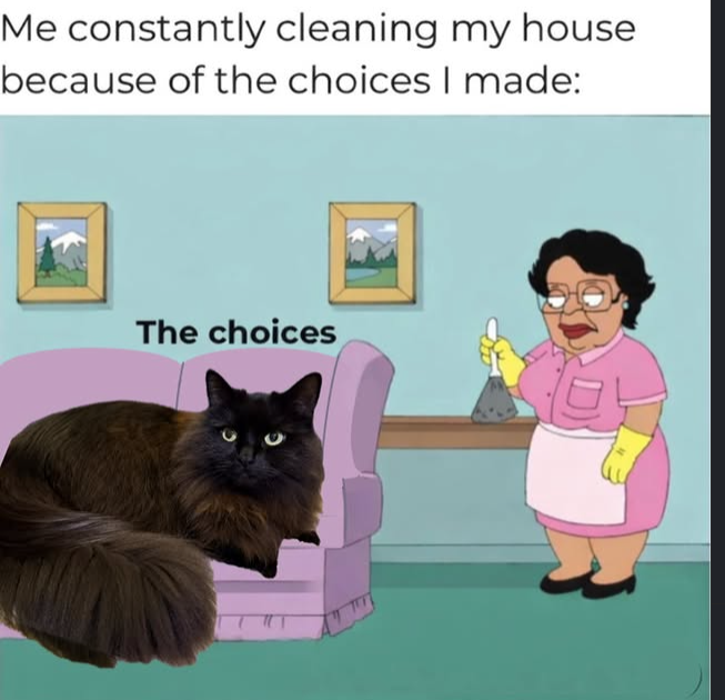 Me constantly cleaning my house because of the choices I made: The choices C