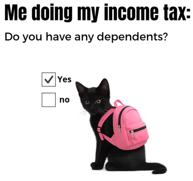 Me doing my income tax: Do you have any dependents? Yes no