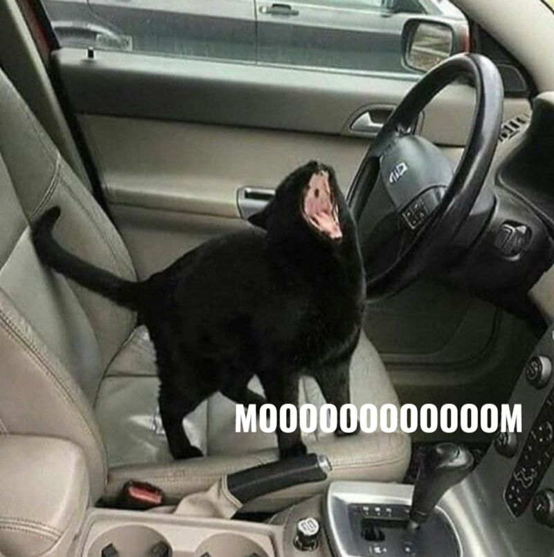M000000000000M