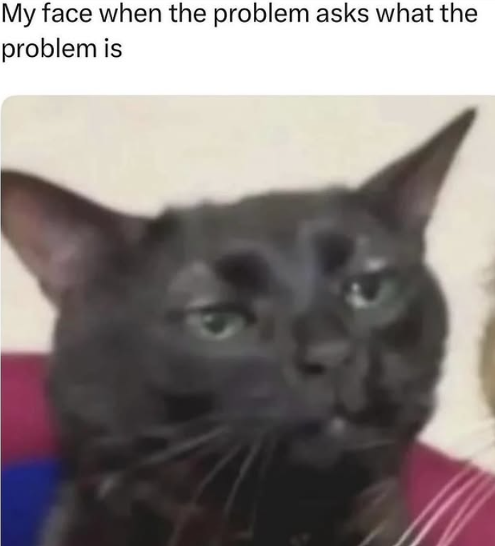 My face when the problem asks what the problem is