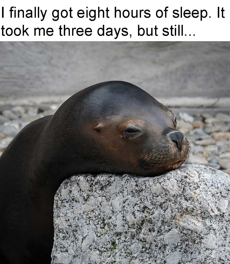 I finally got eight hours of sleep. It took me three days, but still... @We Are Nature
