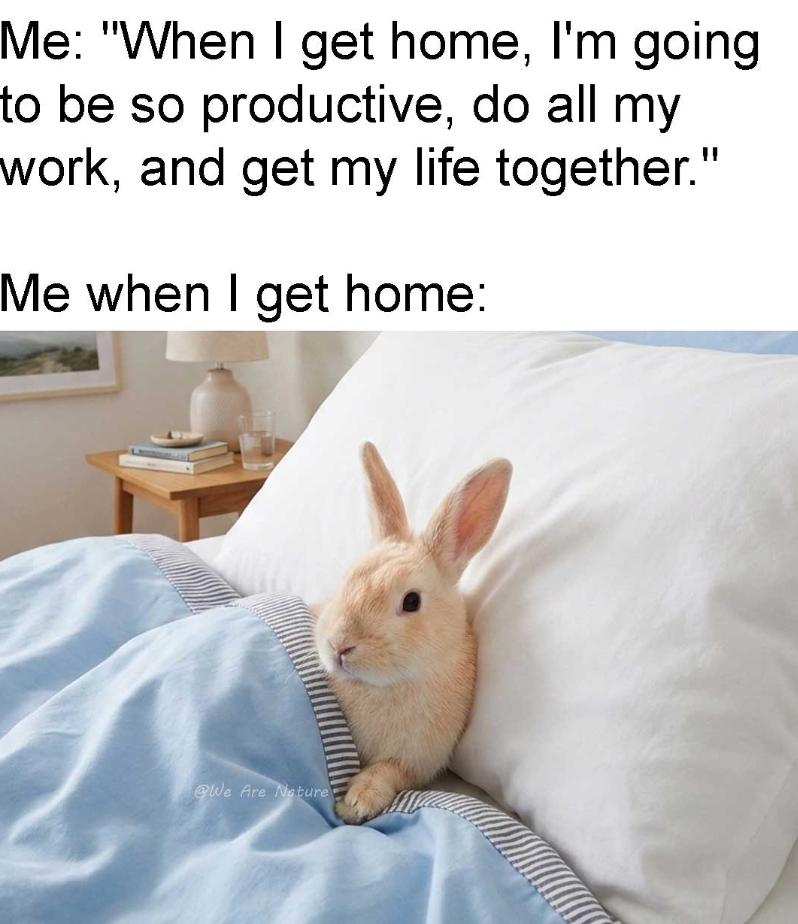 Me: "When I get home, I'm going to be so productive, do all my work, and get my life together." Me when I get home: @We Are Nature