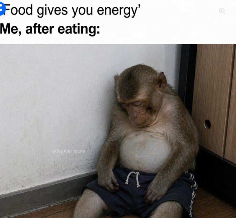 Food gives you energy' Me, after eating: @We Are Nature ב'