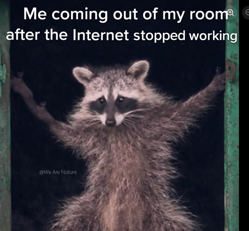 Me coming out of my roomⓇ€ after the Internet stopped working @We Are Nature