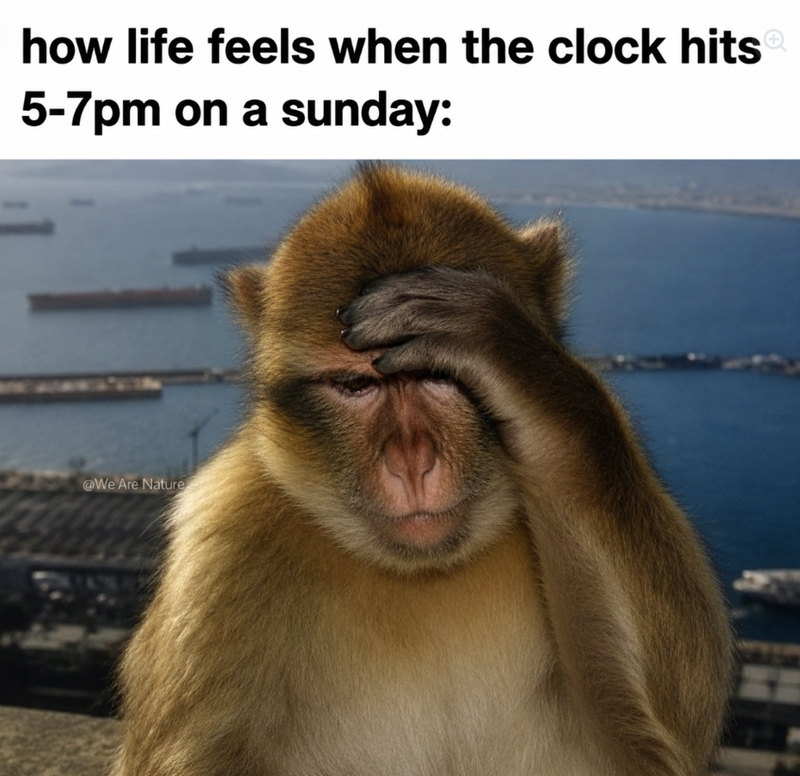 how life feels when the clock hitsⓇ 5-7pm on a sunday: @We Are Nature
