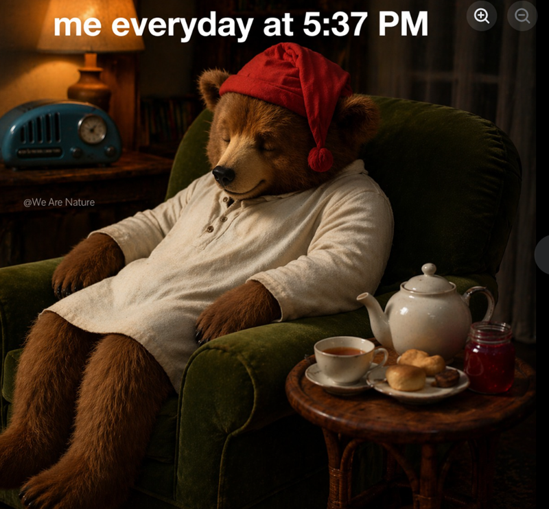 me everyday at 5:37 PM Q @We Are Nature