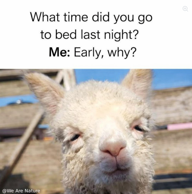 What time did you go to bed last night? Me: Early, why? @We Are Nature