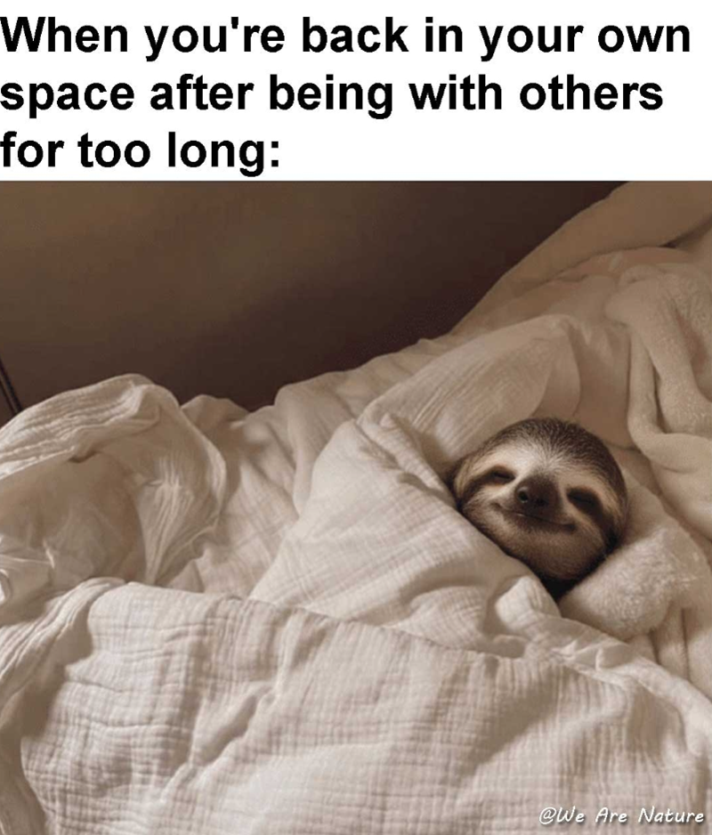 When you're back in your own space after being with others for too long: @We Are Nature