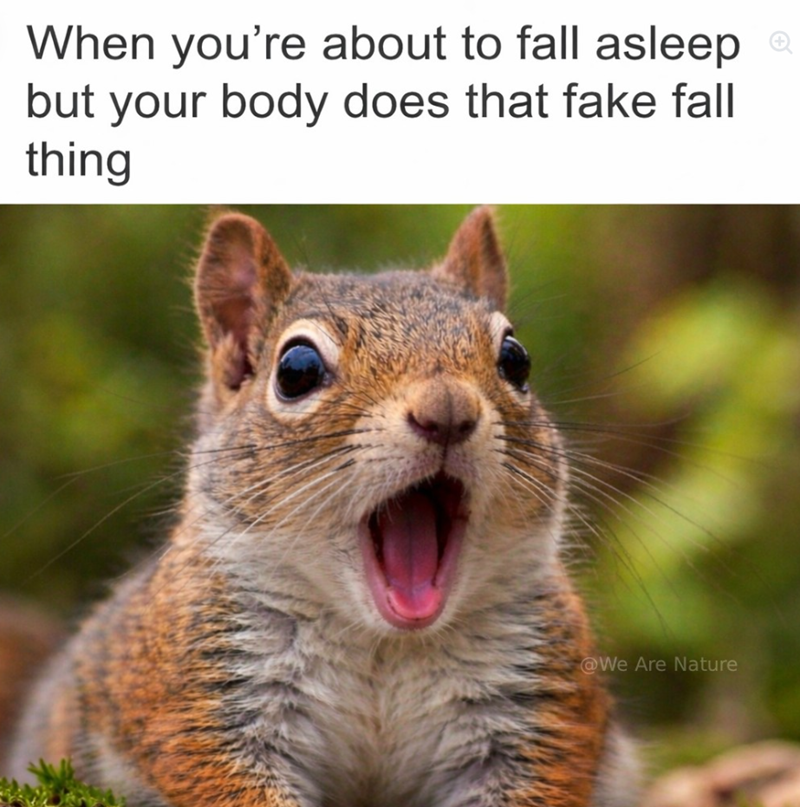 When you're about to fall asleep but your body does that fake fall thing @We Are Nature