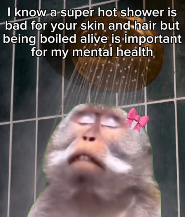 I know a super hot shower is bad for your skin and hair but being boiled alive is important for my mental health