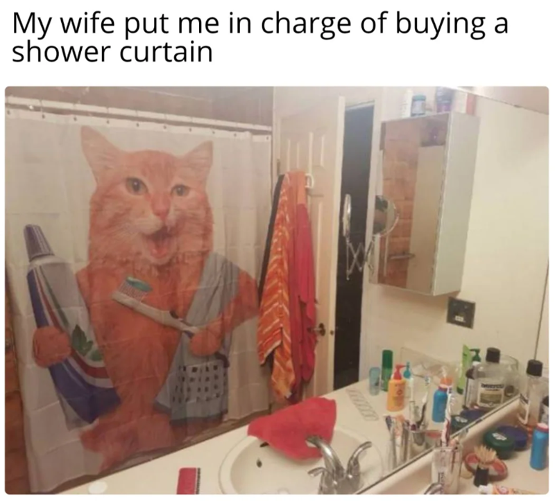 My wife put me in charge of buying a shower curtain 10