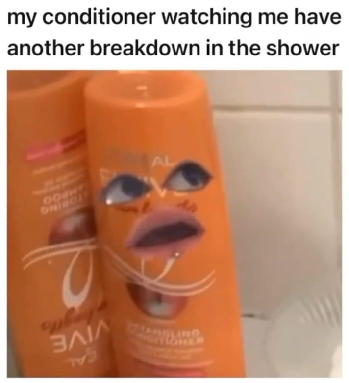 my conditioner watching me have another breakdown in the shower 88000 DRIBOJ ЗЛІЛ P AL INO IGNER