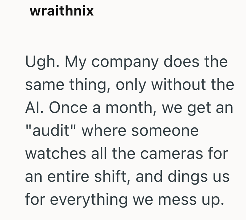wraithnix Ugh. My company does the same thing, only without the Al. Once a month, we get an "audit" where someone watches all the cameras for an entire shift, and dings us for everything we mess up.