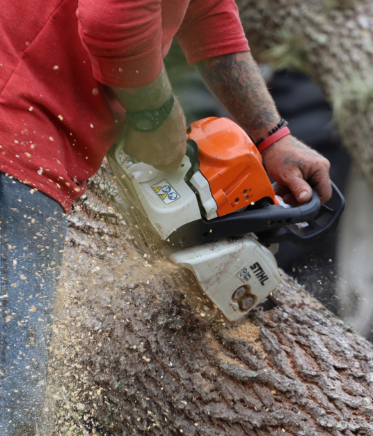 STIHL