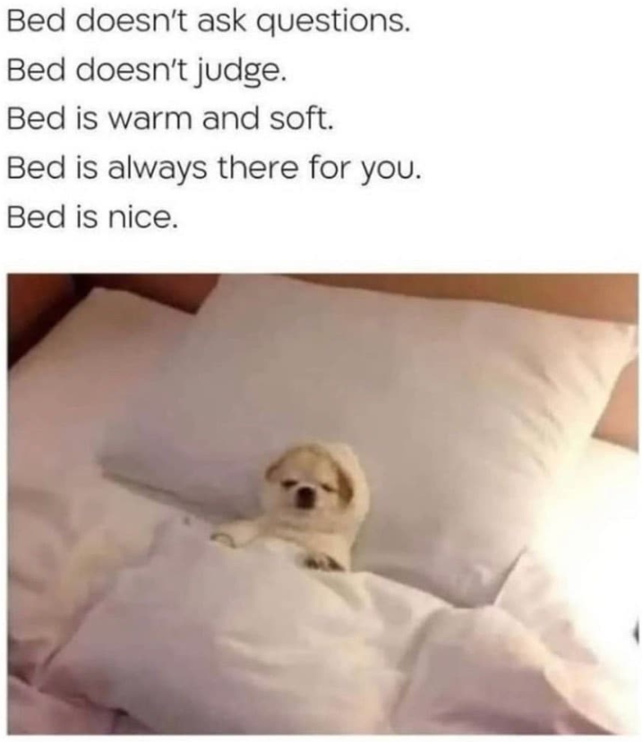 Bed doesn't ask questions. Bed doesn't judge. Bed is warm and soft. Bed is always there for you. Bed is nice.