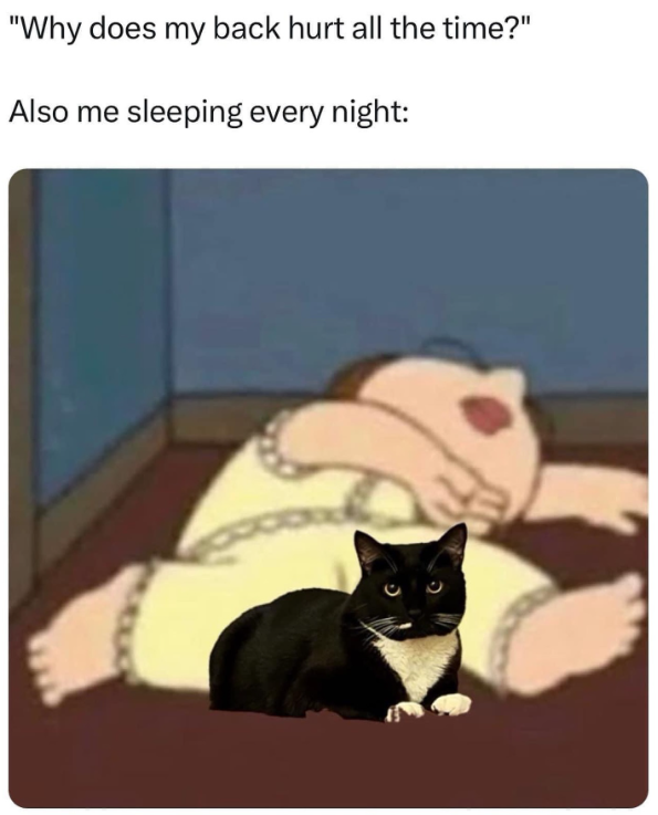 "Why does my back hurt all the time?" Also me sleeping every night: