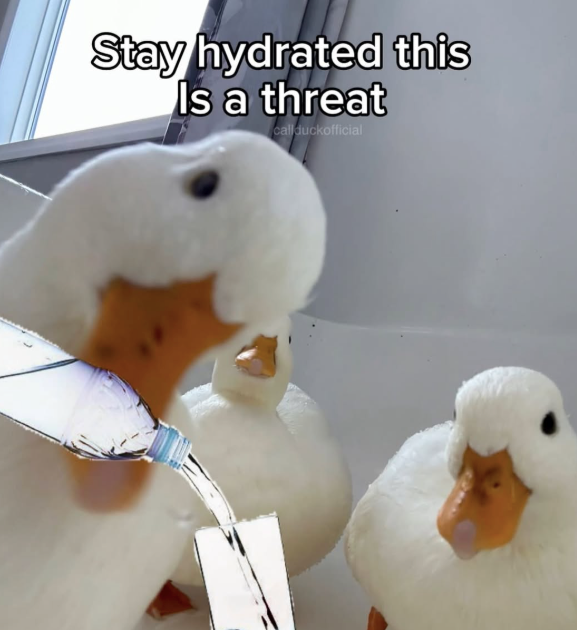 Stay hydrated this Is a threat callduckofficial