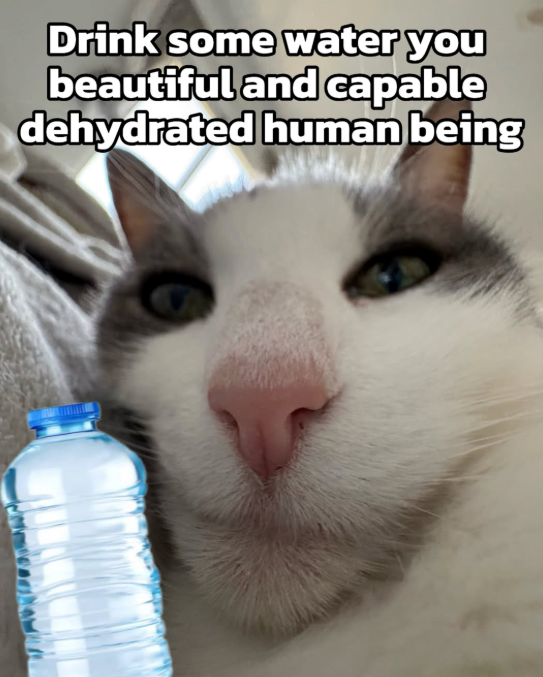 Drink some water you beautiful and capable dehydrated human being