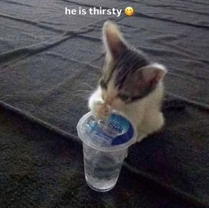 he is thirsty