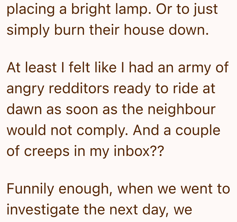 placing a bright lamp. Or to just simply burn their house down. At least I felt like I had an army of angry redditors ready to ride at dawn as soon as the neighbour would not comply. And a couple of creeps in my inbox?? Funnily enough, when we went to investigate the next day, we