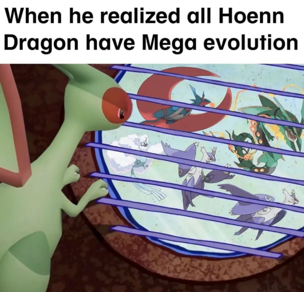 When he realized all Hoenn Dragon have Mega evolution