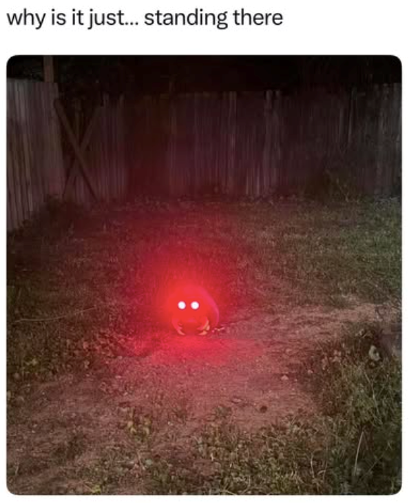 why is it just... standing there