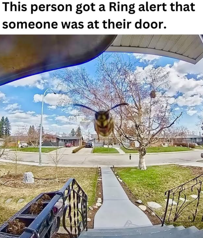 This person got a Ring alert that someone was at their door.