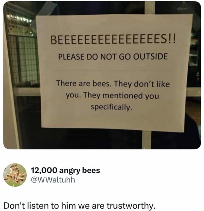 BEEEEEEEEEEEEEEES!! PLEASE DO NOT GO OUTSIDE There are bees. They don't like you. They mentioned you specifically. 12,000 angry bees @WWaltuhh Don't listen to him we are trustworthy.