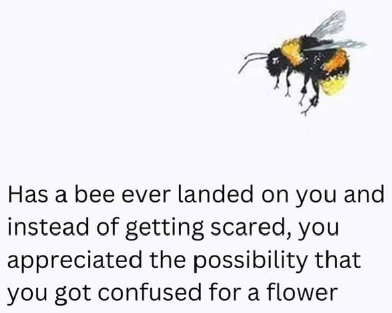 Has a bee ever landed on you and instead of getting scared, you appreciated the possibility that you got confused for a flower