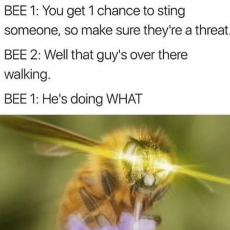 BEE 1: You get 1 chance to sting someone, so make sure they're a threat. BEE 2: Well that guy's over there walking. BEE 1: He's doing WHAT
