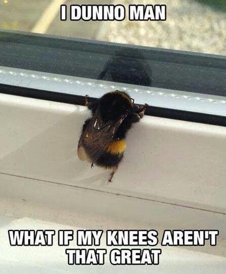 I DUNNO MAN WHAT IF MY KNEES AREN'T THAT GREAT