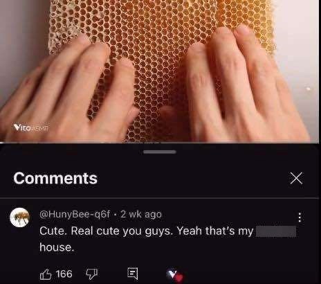 Vito ASMI Comments @HunyBee-q6f⚫ 2 wk ago Cute. Real cute you guys. Yeah that's my house. 166 回 Х