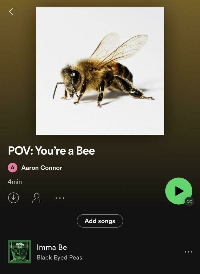 POV: You're a Bee A Aaron Connor 4min Imma Be Black Eyed Peas Add songs %
