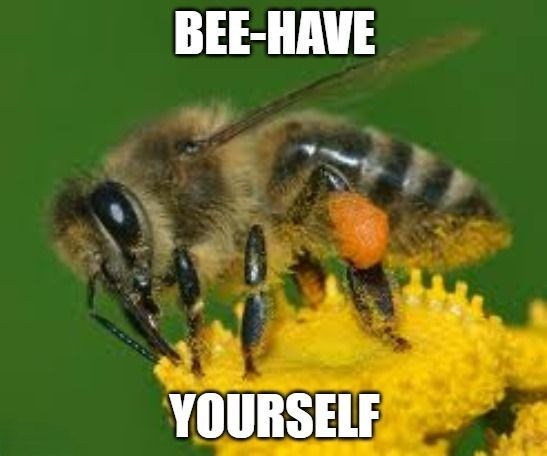 BEE-HAVE YOURSELF