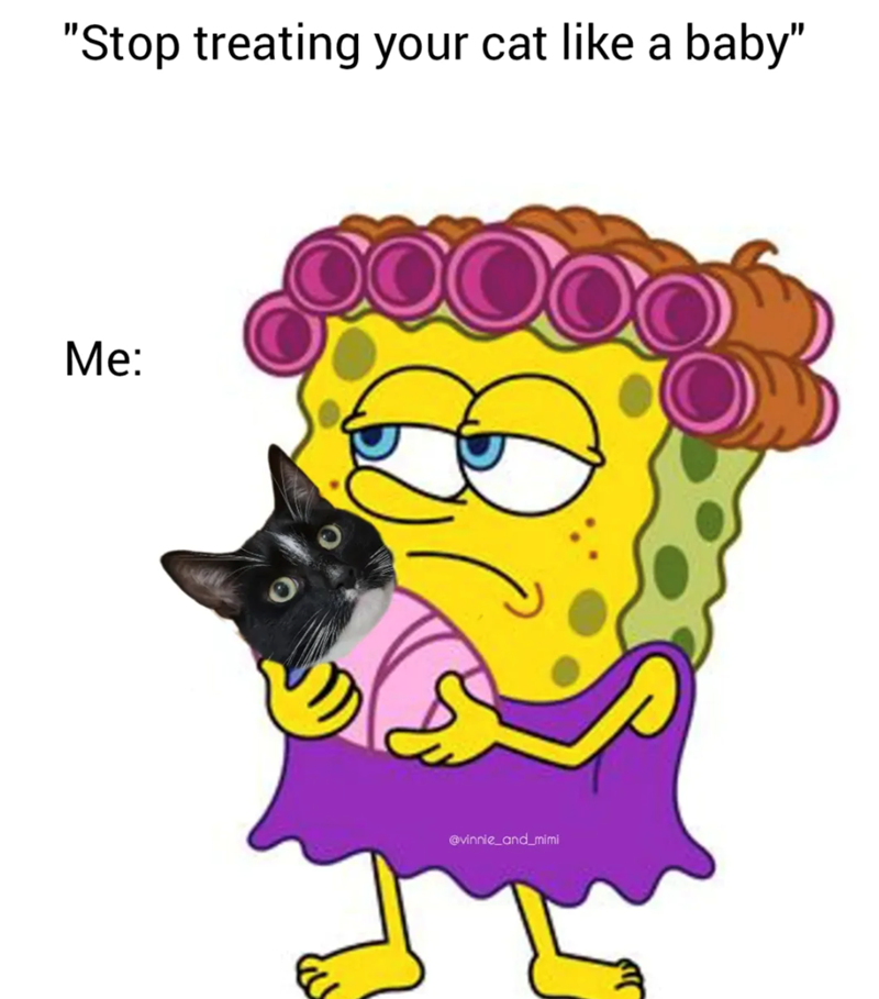 "Stop treating your cat like a baby" Me: @vinnie_and_mimi