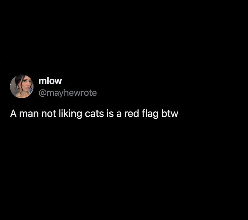 mlow @mayhewrote A man not liking cats is a red flag btw